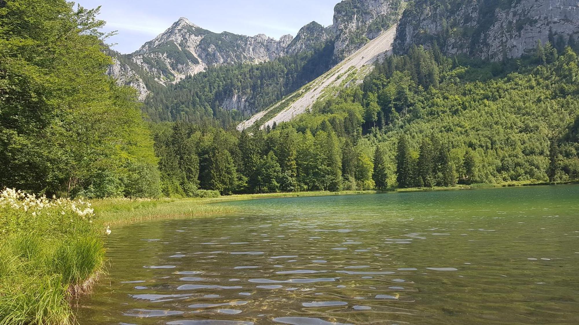Ferienwohnung Hinterpommern - Chiemgaukarte Inzell Εξωτερικό φωτογραφία